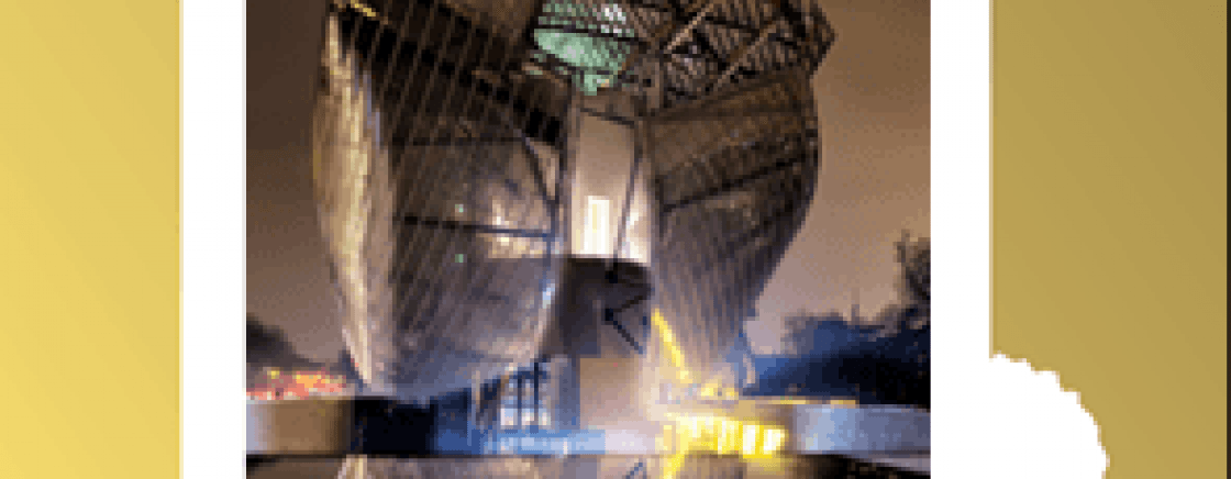 Louis Vuitton Foundation, Frank Gehry