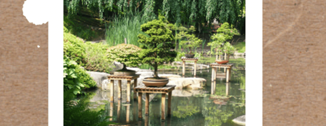 Secret Garden